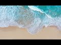 Michael Franti & Spearhead - Soulshine At Sea Save The Dates (11/3-7/2021)