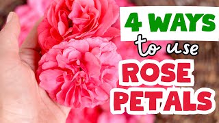 These Rose Petal Uses Will Blow Your Mind