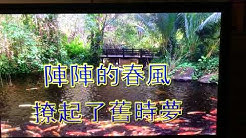 Wz138 Youtube