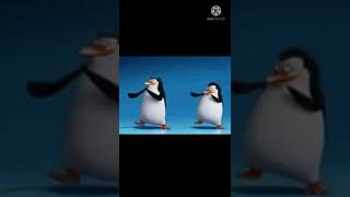 Cute Penguins Asa Xosa Oksy Avdalyan Song Oksy Avdalyan Asa Xhosa