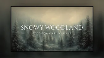 TV Screensaver | Silent Winter Woods: 3 Hours of Peaceful Winter Scenery