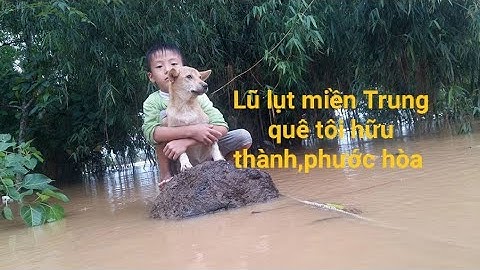 Lũ lụt quê tôi 77(thương người miền trung 🤗) thả lưới bắt cá sống qua mùa lụt _(Văn Lực Vlogs)