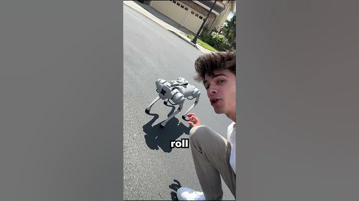 A $10,000 ROBOT DOG!?