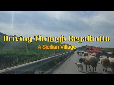 Driving Through Regalbuto