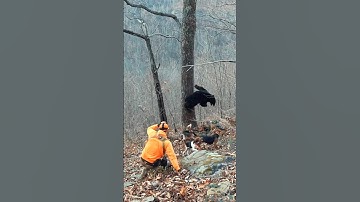 This bear wasn’t playing nicely!