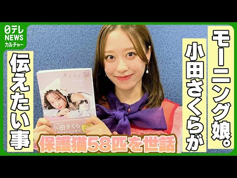 【モーニング娘。小田さくら】「猫を見た時“かわいい”以外を思って」　保護猫58匹を世話