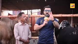 Back With A Bang Mandi Shughal With Fayzan Iftikhar