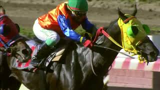 Vidéo de la course PMU PREMIO GUAJIRO
