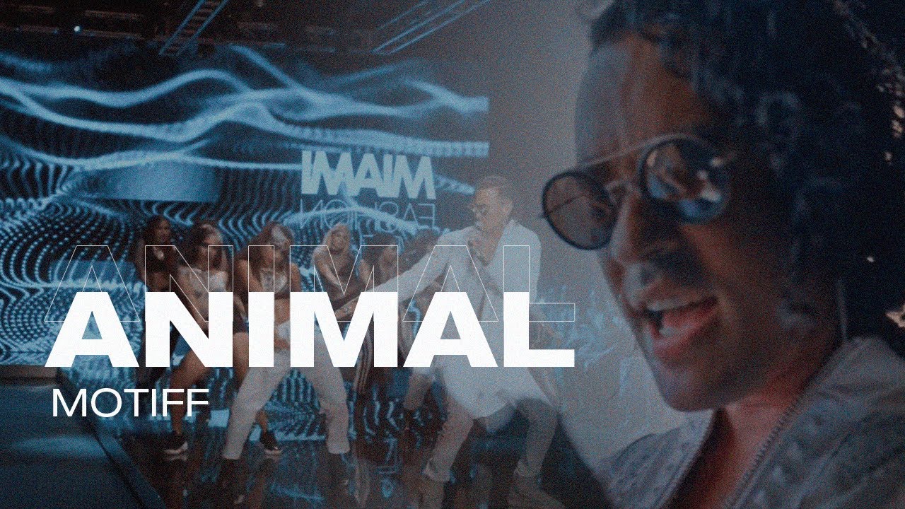 Motiff - Animal (Video Oficial)