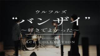 バンザイ ～好きでよかった～ / ウルフルズ covered by ACE COLLECTION