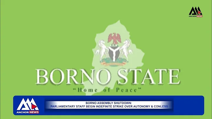 Why Borno Assembly Was Shut Down: PASAN Indefinite Strike Explained