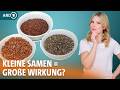 Flohsamenschalen, Leinsamen und Chiasamen im Vergleich | Dr. Julia Fischer | ARD Gesund