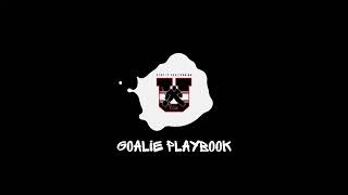 Stop It Goaltending U Sample Video: Goalie Playbook - Alexandar Georgiev