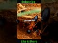 "🐜 Think You Know Ants? Discover 10 Mind-Blowing Ant Facts!"