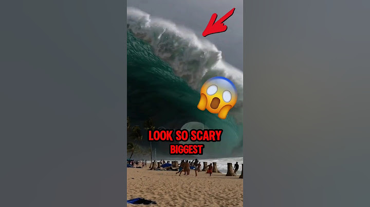 Do you know what is the biggest tsunami in the world?
