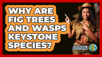 Why Are Fig Trees And Wasps Keystone Species? - Ecosystem Essentials