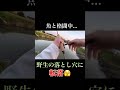 悲劇 野生の落とし穴に落ちました Shorts 落とし穴 ハプニング 釣り Fishing 鯉 鯉釣り