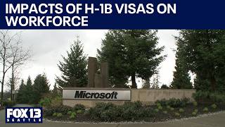 The impacts of H-1B visas on the workforce | FOX 13 Seattle