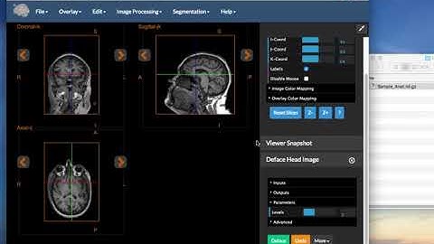 Defacing Video Demonstration