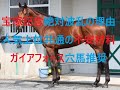 今年の宝塚記念が絶対に波乱となる理由 人気上位に共通する不安材料 ガイアフォース穴馬推奨