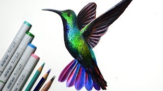 'Humming bird' timelapse drawing -- copic markers and colored pencils