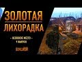 Золотая Лихорадка. Сталкер Онлайн. Неплохое место чтобы встретить старость. Выпуск 9.