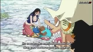 Chopper Robin Momen Lucu Fishman Island