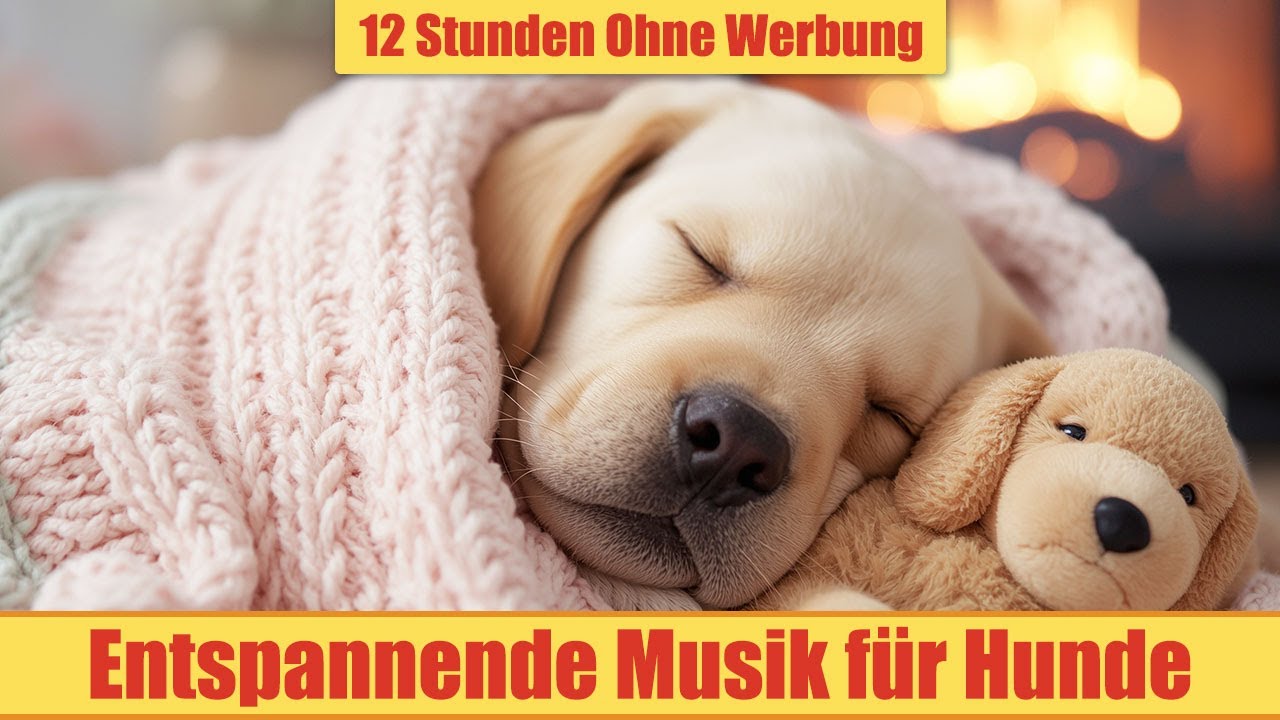 Schlafmusik für Hunde - 12 Stunden Ohne Werbung | Sanfte Musik zum Einschlafen_vol.28