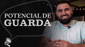 Como saber potencial de guarda vinho?
