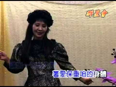 鑫大唱片-卡拉ok字幕版-健康有錢沒地買(主唱:燕子)