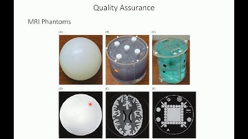fMRI data preprocessing I