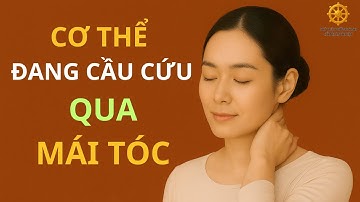Cổ Nhân Nói: Tóc Là Hoa Của Thận – Ai Hiểu Sẽ Sống Khác!