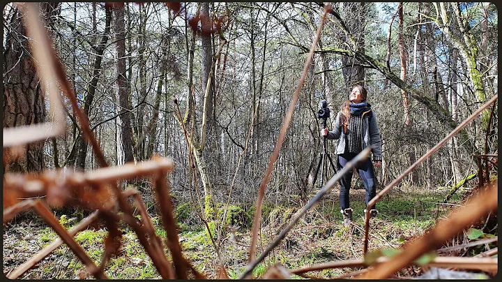 TIMELAPSES AND FAIRYTALES | A Vlog in the Woods