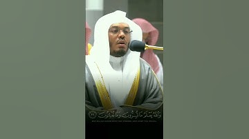 [ وإن تعدوا نعمة الله لا تحصوها ] تلاوة هادئه عذبه للشيخ ياسر الدوسري