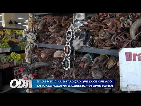 Ervas medicinais: Garrafadas passam por gerações e mantêm espaço cultural 21 05 2026