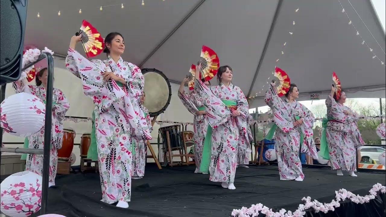 Sakura (桜) (Cherry Blossoms) Shojoji Japanese Dancers at Akron Sakura