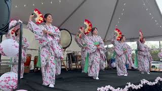 Sakura (桜) (Cherry Blossoms) - Shojoji Japanese Dancers at Akron Sakura Festival in April 2023