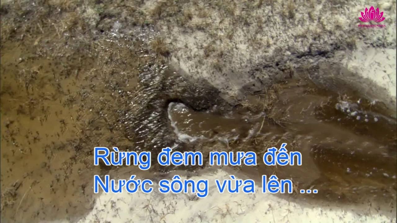 Video YouTube