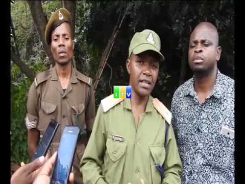 Madaraja nane yaliyojengwa kinyemela katika mto Songwe yavunjwa yakidaiwa kutumika kuvushia dawa za