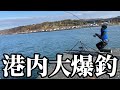 【北海道】【釣り】ちょい投げや穴釣りで大爆釣