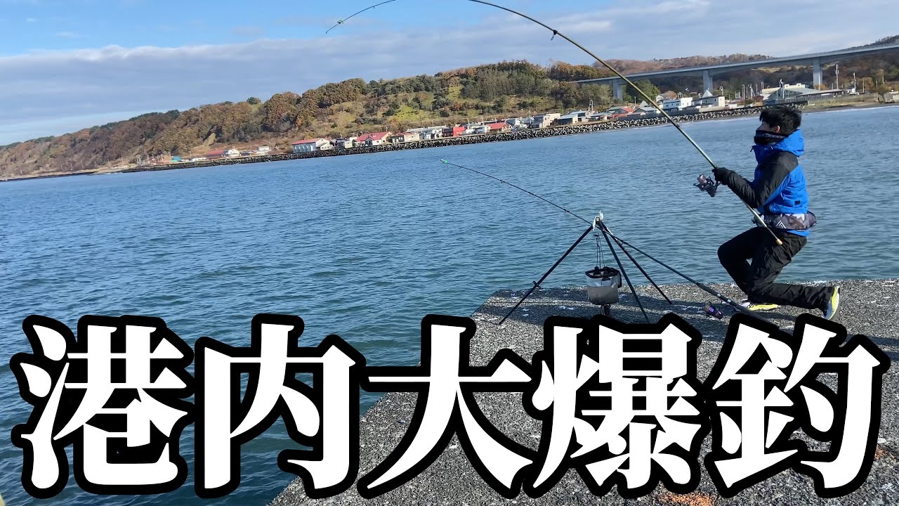 【北海道】【釣り】ちょい投げや穴釣りで大爆釣