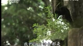 20121231《靜思晨語。法譬如水》誠正信實 守八正道