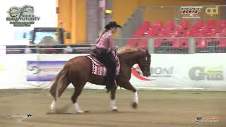 Futurity 2021 - CIRA BAECK & AMERICASNEXTCOVRGIRL score 220,5 Details