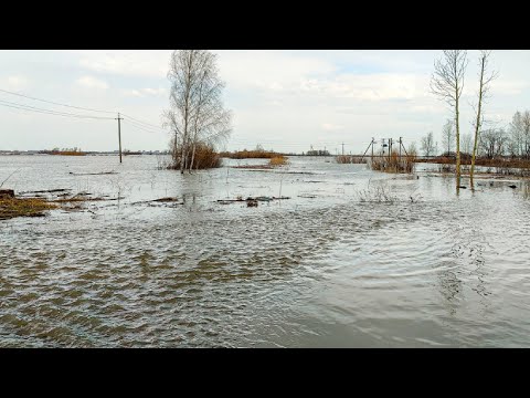 Еще два населенных пункта отрезало от внешнего мира паводками в Тюменской области