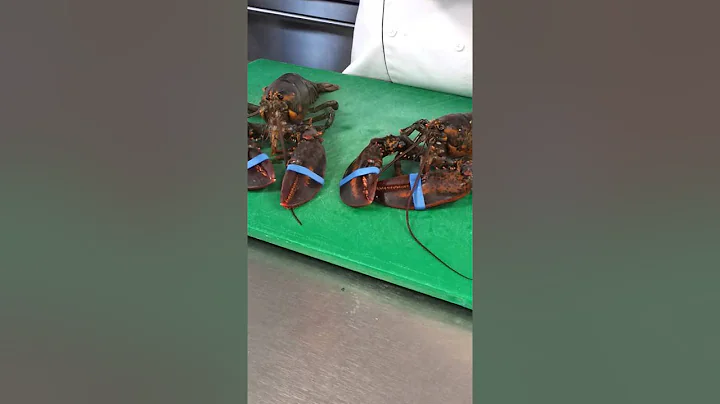 Lobster Lesson