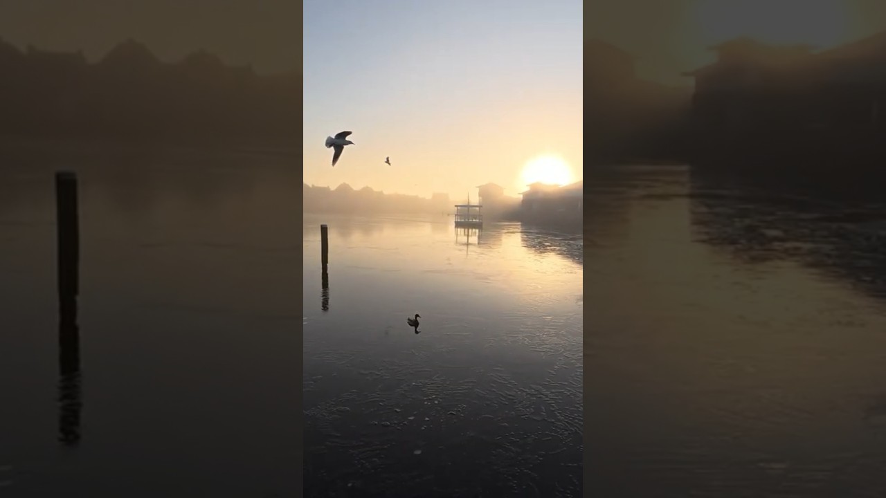 Wow! Wat een uitzicht! 🤩 Dit is pas fijn wakker worden bij Landal Esonstad - #shorts