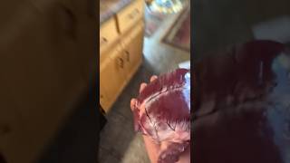 she Told Me Put My Heart In The Bag juicewrld tiktok funny viral discoveryvirals fail