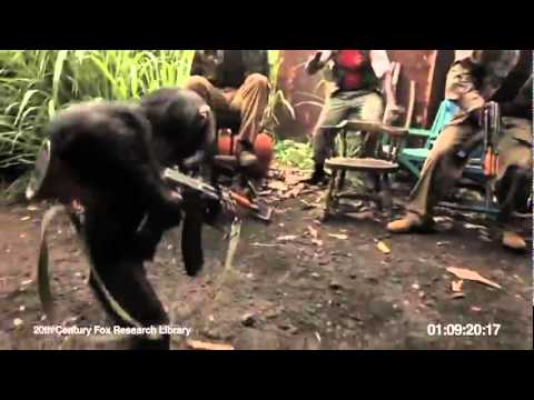 Video: Keistas šimpanzė Oliveris Gali Būti žmogaus Ir Beždžionės Hibridas - Alternatyvus Vaizdas
