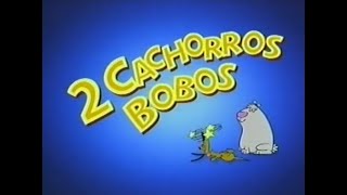 Vinheta de intervalo '2 Cachorros Bobos' no Cartoon Network