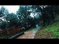Relaxing walk on a rainy day | Nature Sounds for Sleep and Study | 4k ASMR